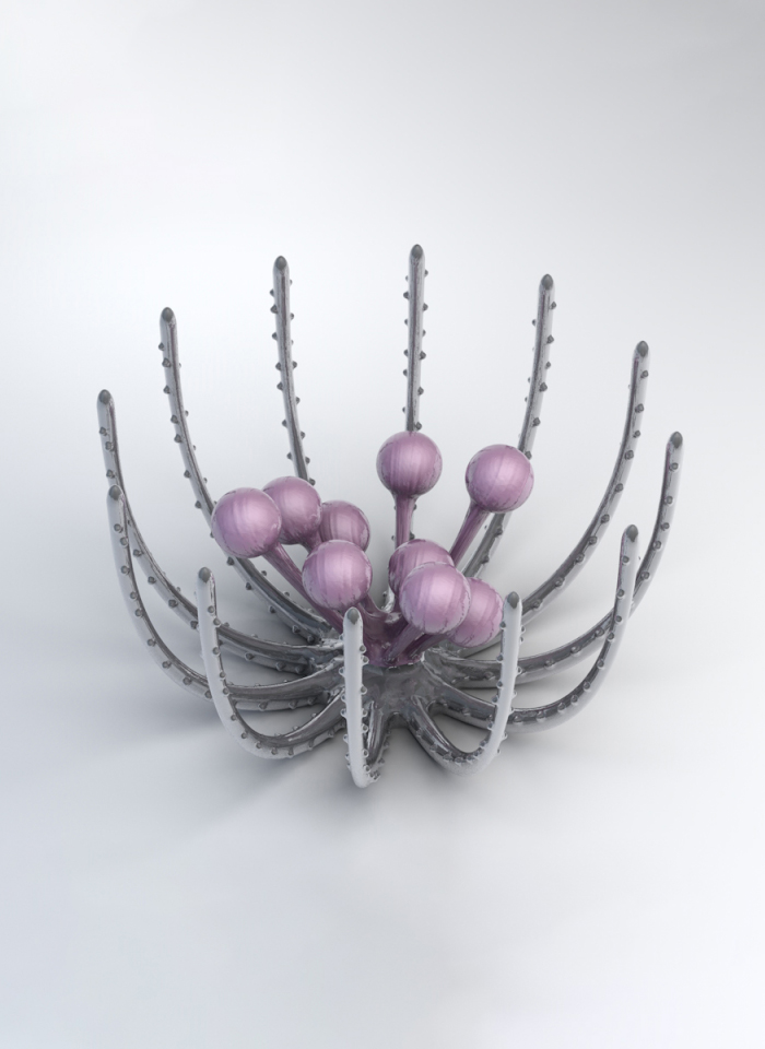 Sea Urchin